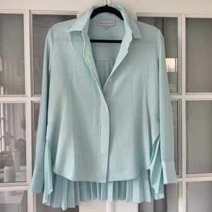 Tuckernuck Blouse with Pleated Back